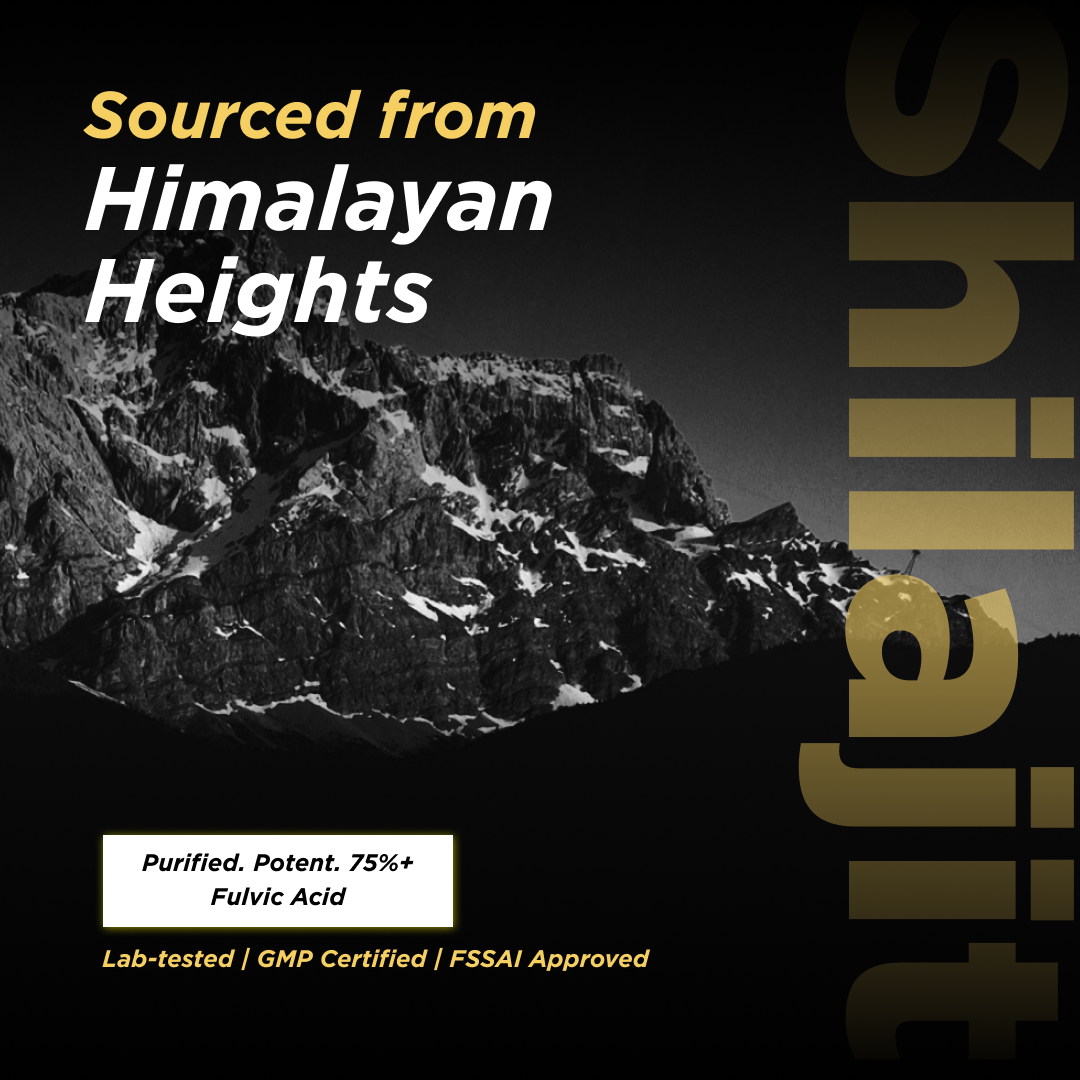 Pure Himalyan Shilajit Gold Resin